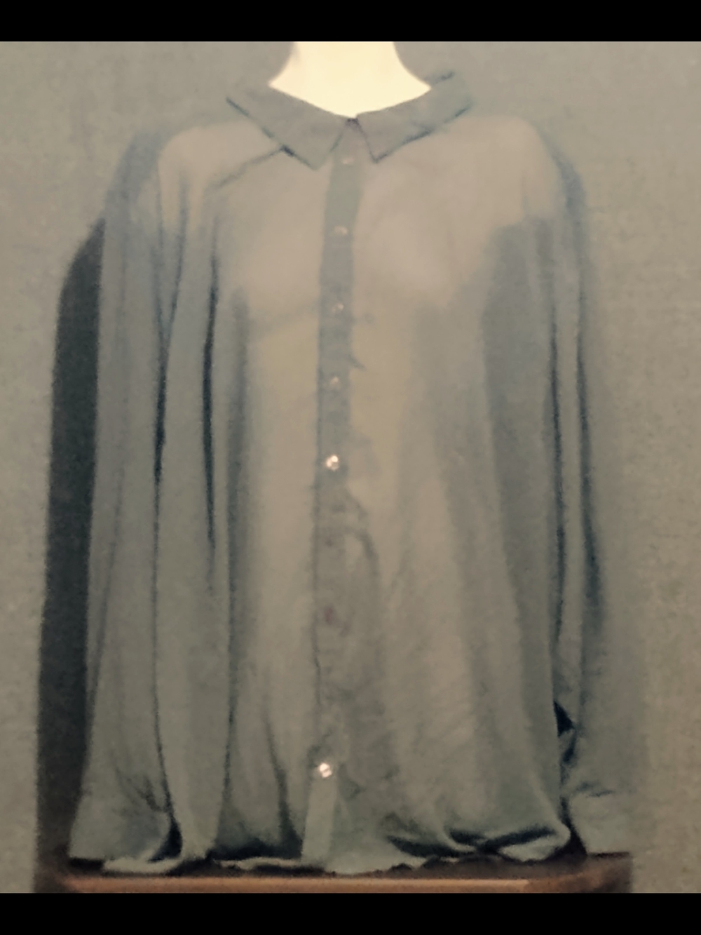 Roaman's Sheer Button-Front Blouse in Gray